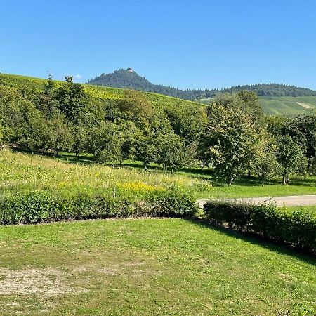 Ferienwohnung Reblandblick Baden-Baden Luaran gambar