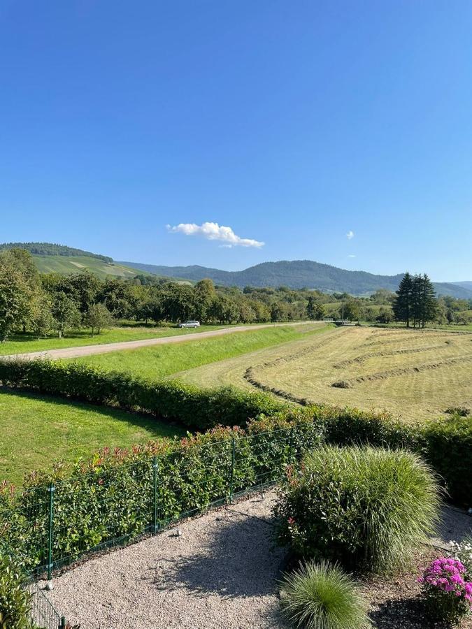 Ferienwohnung Reblandblick Baden-Baden Luaran gambar