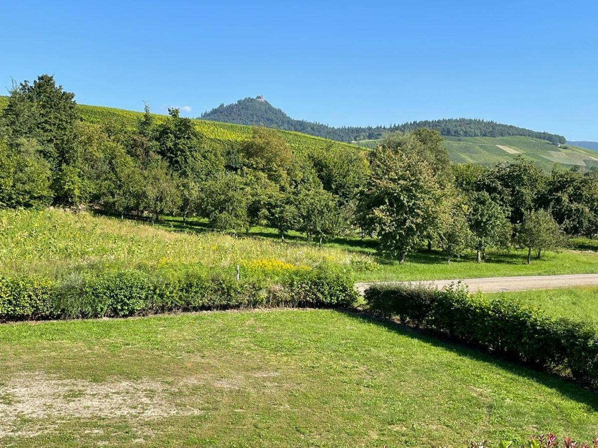 Ferienwohnung Reblandblick Baden-Baden Luaran gambar